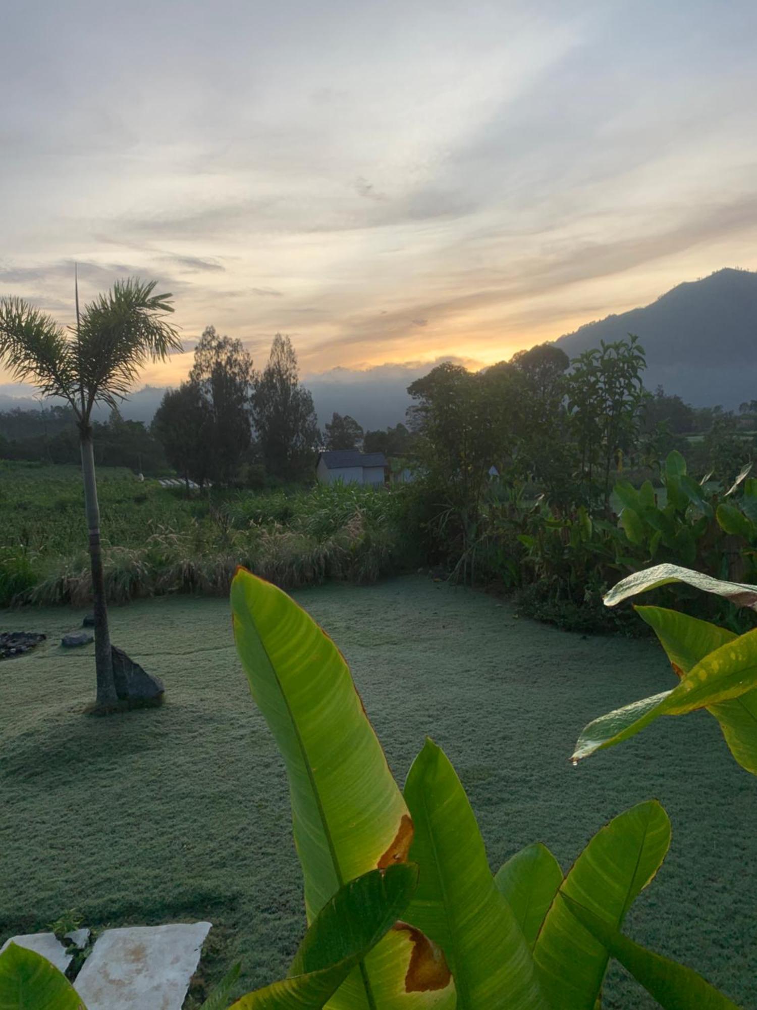 Bali Lesung Hotel Kintamani  Luaran gambar